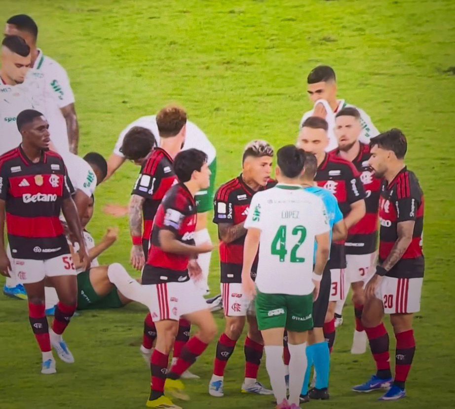 Palmeiras vence Flamengo por 3 a 0 e abre vantagem no Brasileirão